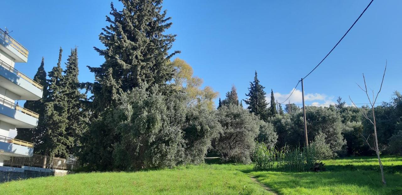 Όμορφο Studio Στην Πόλη Πάτρα Esterno foto